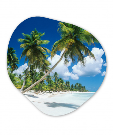 Organisches wandbild - Strand - Palme - Tropisch-thumbnail-1