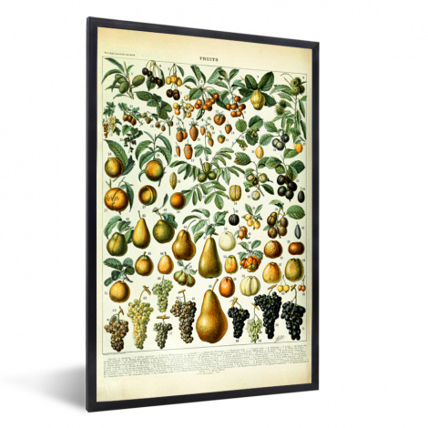 Poster met lijst - Adolphe Millot - Vintage - Fruit - Peer - Druiven - Staand-thumbnail-1