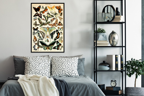 Poster met lijst - Adolphe Millot - Vlinder - Dieren - Insecten - Vintage - Staand-4