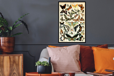 Poster met lijst - Adolphe Millot - Vlinder - Dieren - Insecten - Vintage - Staand-thumbnail-2