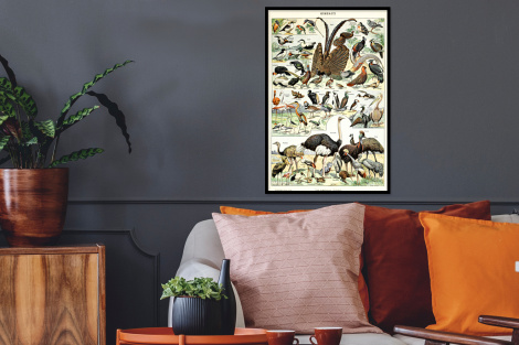 Poster met lijst - Vogel - Natuur - Dieren - Vintage - Kunstwerk - Staand-2