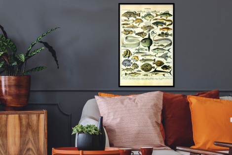 Poster met lijst - Adolphe Millot - Kunst - Vintage - Vissen - Dieren - Staand-thumbnail-2