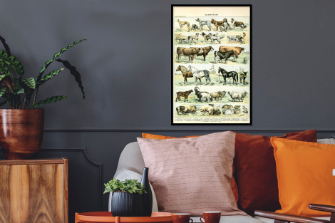 Poster met lijst - Dieren - Paarden - Illustratie - Vintage - Adolphe Millot - Staand-thumbnail-2