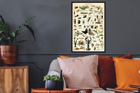 Poster met lijst - Dieren - Adolphe Millot - Vintage - Insecten - Kunst - Staand-2