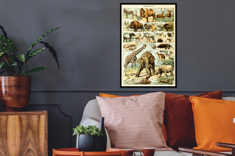 Poster met lijst - Dieren - Kameel - Giraffe - Vintage - Adolphe Millot - Staand-2