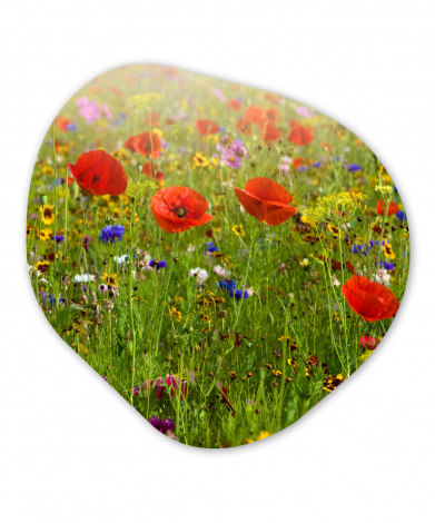 Organisches wandbild - Frühling - Blumen - Farbe-1