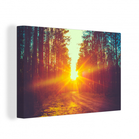 Canvas - Zonsondergang - Bomen - Bos - Natuur
