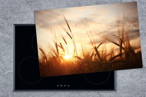 Herdabdeckplatte - Schilf - Gras - Sonnenuntergang - Natur - Horizont-1