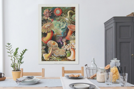 Canvas schilderij - Ernst Haeckel - Anemoon - Retro - Actinae-4