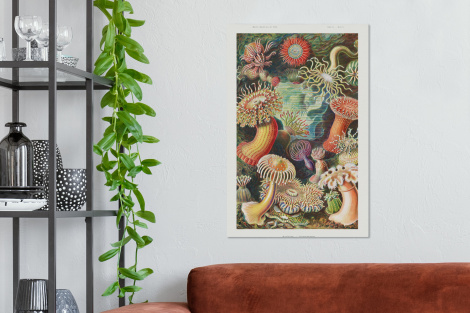 Canvas schilderij - Ernst Haeckel - Anemoon - Retro - Actinae-2