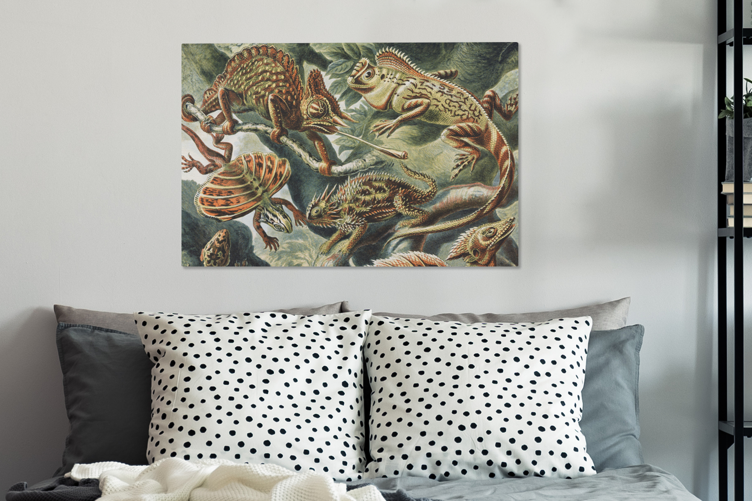Canvas schilderij - Vintage - Kunst - Ernst Haeckel - Salamanders-3