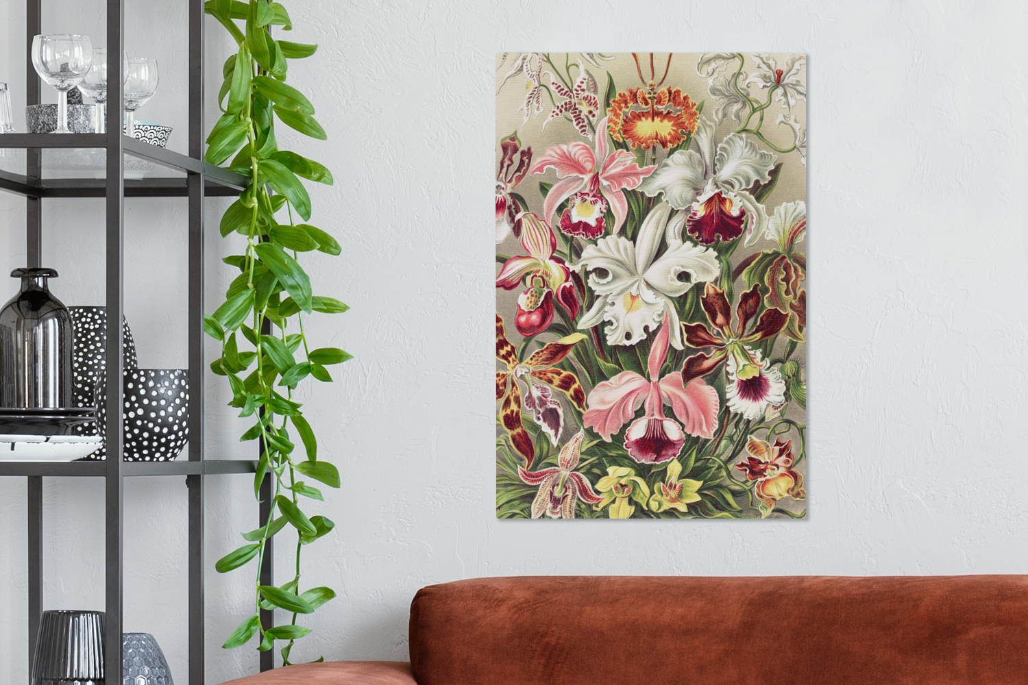 Canvas schilderij - Bloemen - Ernst Haeckel - Vintage - Orchidee-2