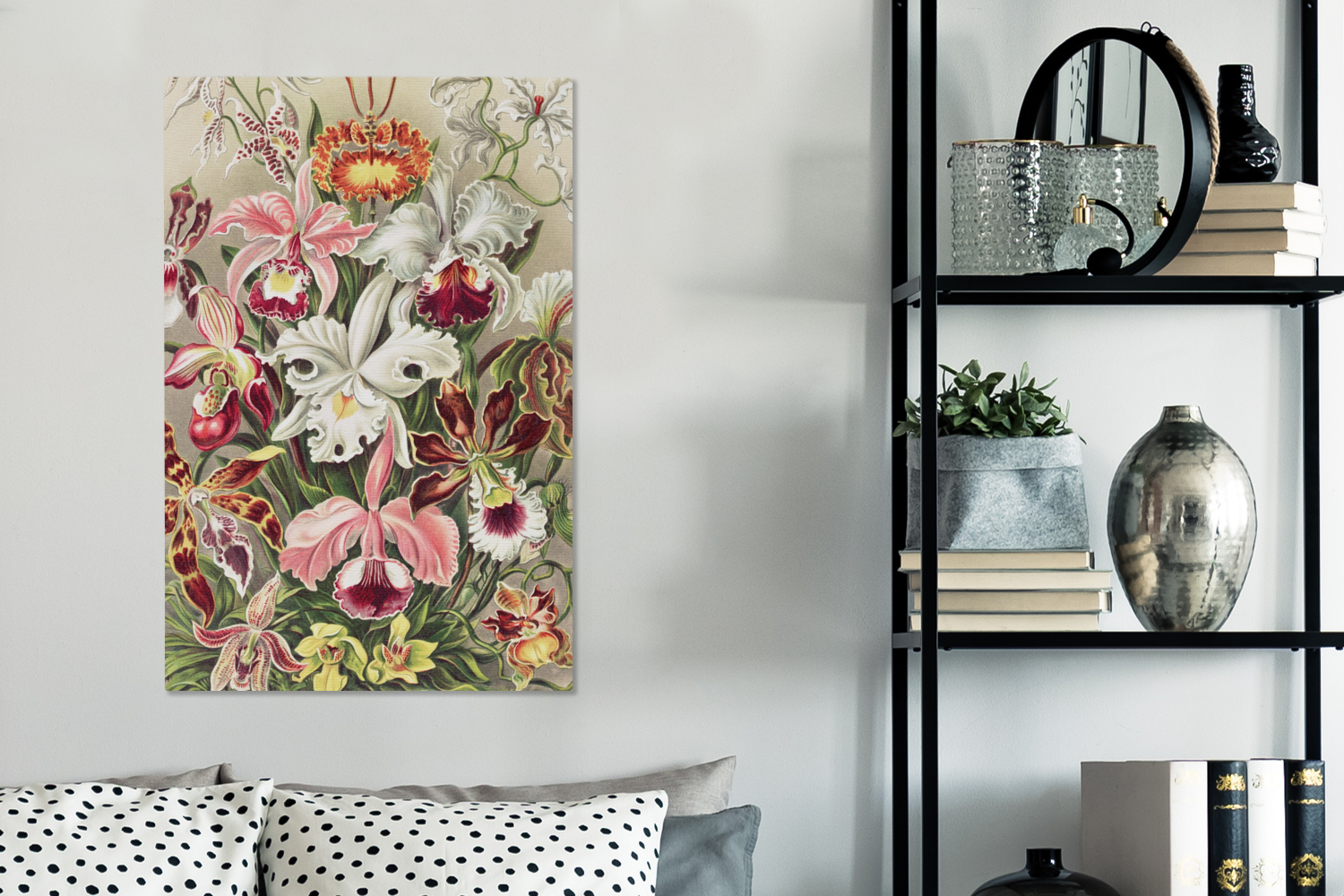 Canvas schilderij - Bloemen - Ernst Haeckel - Vintage - Orchidee-3