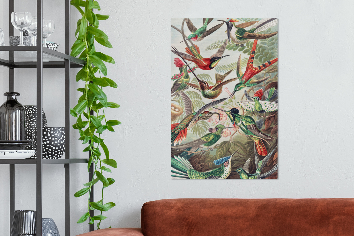 Canvas schilderij - Kolibrie - Vintage - Ernst Haeckel - Vogels-2