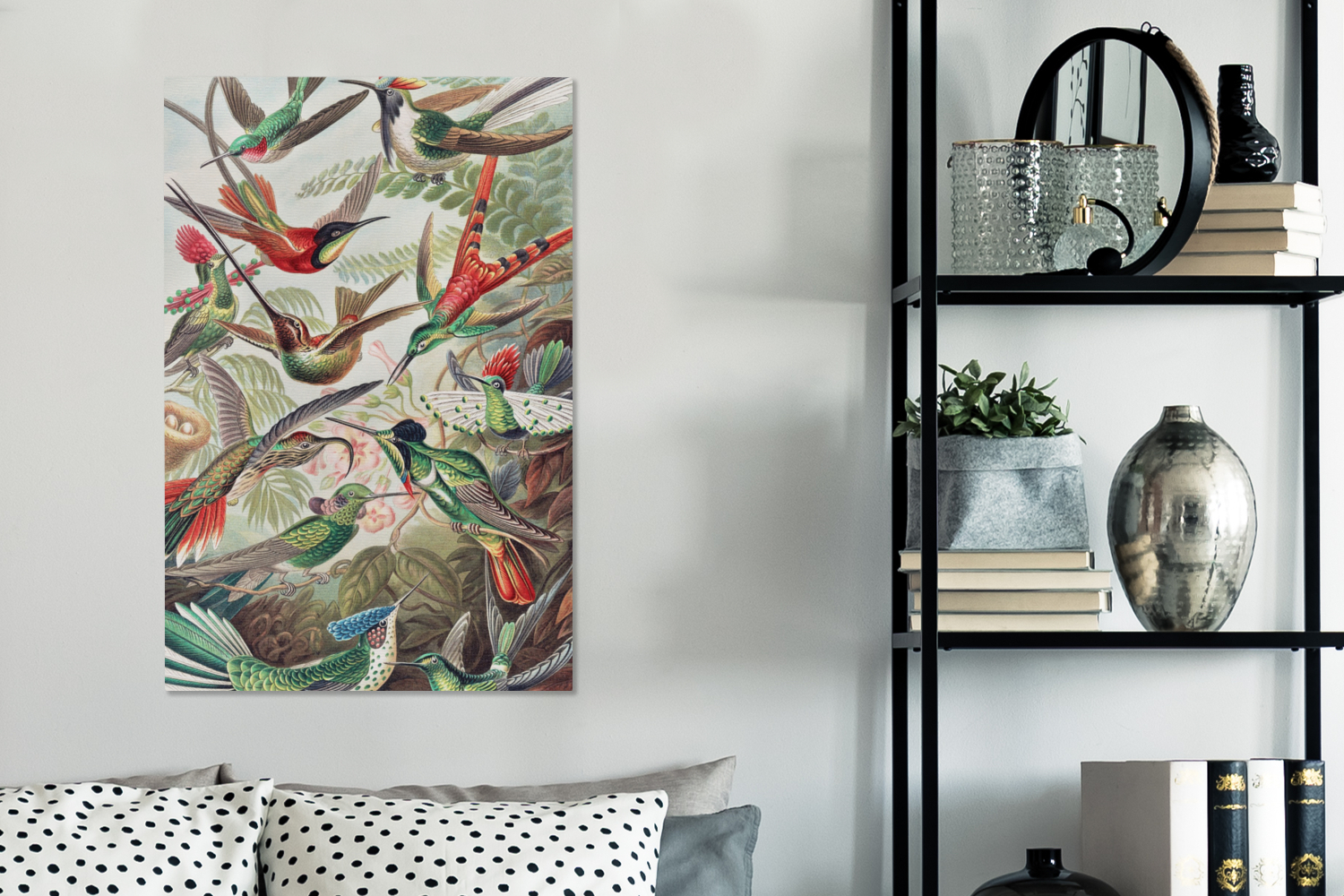 Canvas schilderij - Kolibrie - Vintage - Ernst Haeckel - Vogels-3