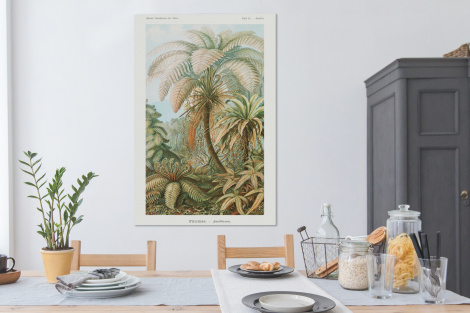 Canvas schilderij - Filicinae - Vintage - Oude meesters - Varens-4