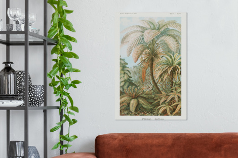 Canvas schilderij - Filicinae - Vintage - Oude meesters - Varens-2