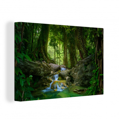 Canvas schilderij - Jungle - Stenen - Water - Natuur