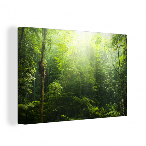 Canvas schilderij - Jungle - Zonlicht - Groen