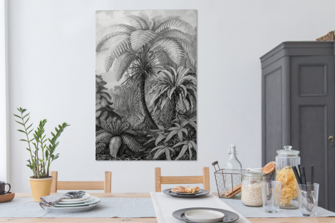 Canvas schilderij - Planten - Zwart wit - Design-4