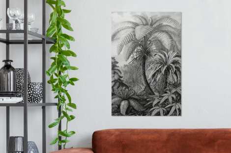 Canvas schilderij - Planten - Zwart wit - Design-2