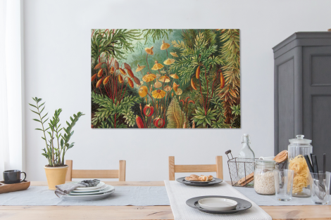 Canvas schilderij - Design - Natuur - Paddenstoelen - Ernst Haeckel-4