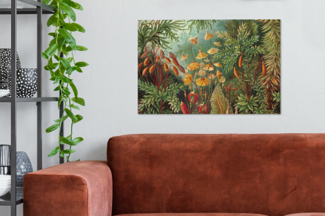 Canvas schilderij - Design - Natuur - Paddenstoelen - Ernst Haeckel-2