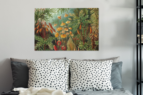 Canvas schilderij - Design - Natuur - Paddenstoelen - Ernst Haeckel-3
