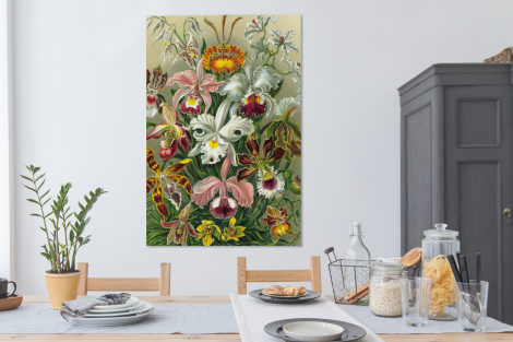 Canvas schilderij - Planten - Natuur - Bloemen - Ernst Haeckel-4