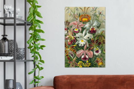Canvas schilderij - Planten - Natuur - Bloemen - Ernst Haeckel-2