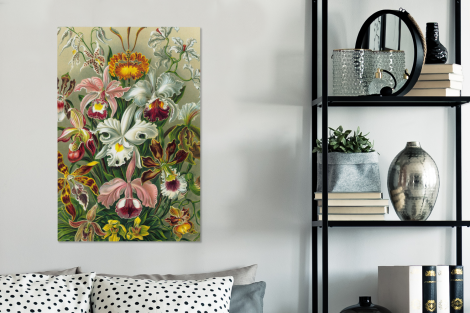 Canvas schilderij - Planten - Natuur - Bloemen - Ernst Haeckel-3