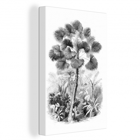 Canvas schilderij - Design - Zwart wit - Natuur