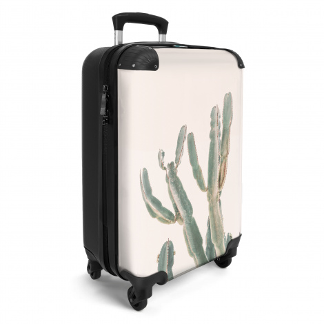 Koffer - Cactus - Plant - Groen - Natuur-2