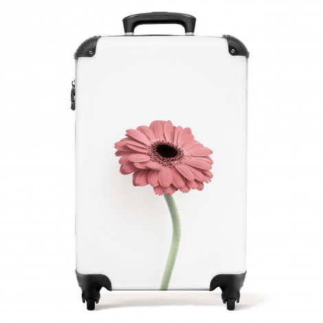 Koffer - Bloemen - Roze - Natuur - Wit - Plant