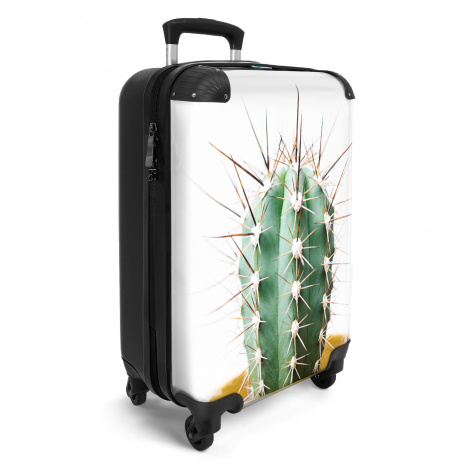 Koffer - Cactus - Planten - Natuur - Groen-2