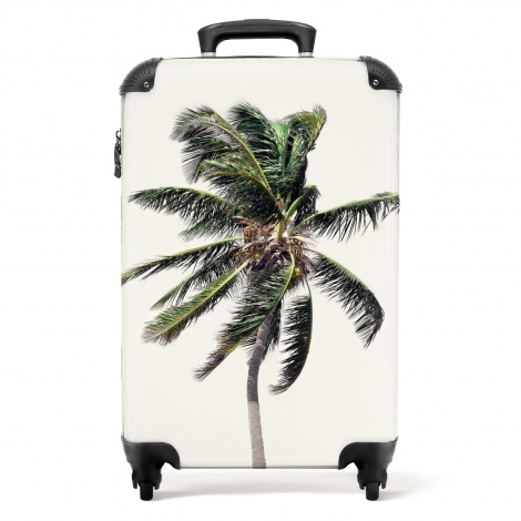 Koffer - Palmboom - Groen - Natuur - Bladeren