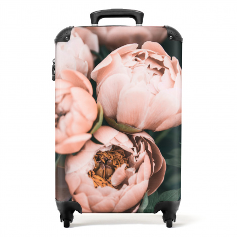 Koffer - Bloemen - Roze - Natuur - Planten