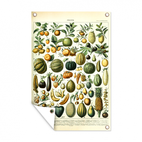 Tuinposter - Fruit - Eten - Design - Vintage - Adolphe Millot - Staand-1