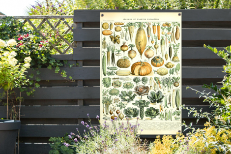 Tuinposter - Vintage - Groenten - Wortel - Kunst - Adolphe Millot - Oranje - Staand-2