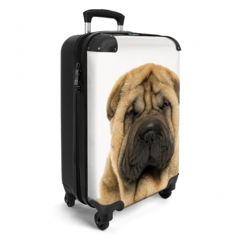 Koffer - Hondje met boos hoofd-2