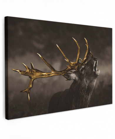 Leinwandbild - Rotwild - Schwarz - Gold