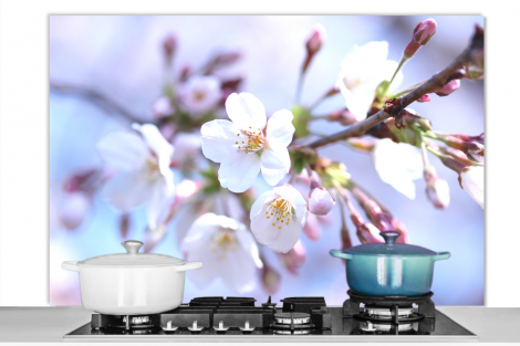 Spritzschutz Küche - Blumen - Sakura - Zweig-1