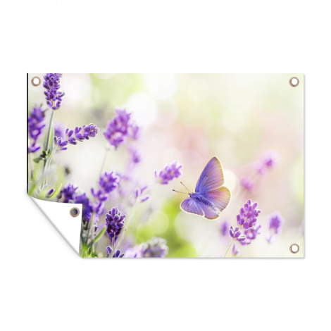 Tuinposter - Lavendel - Vlinder - Bloemen - Liggend-thumbnail-1
