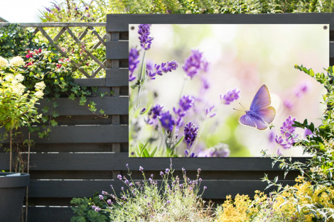 Tuinposter - Lavendel - Vlinder - Bloemen - Liggend-2