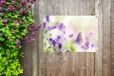 Tuinposter - Lavendel - Vlinder - Bloemen - Liggend-thumbnail-4