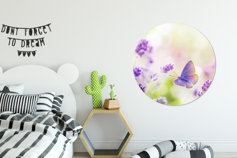 Runde Bilder - Lavendel - Schmetterling - Blumen-2