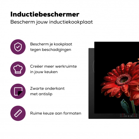 Inductiebeschermer - Bloemen - Botanisch - Rood - Gerbera - Natuur-3