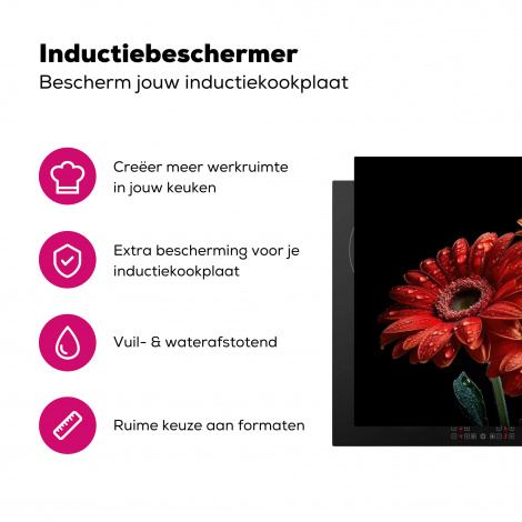 Inductiebeschermer - Bloemen - Botanisch - Rood - Gerbera - Natuur-3