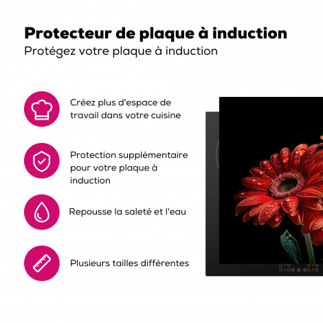 Protège-plaque à induction - Fleurs - Botanique - Rouge - Gerbera - Nature-3