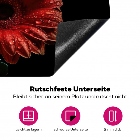 Herdabdeckplatte - Blumen - Botanisch - Rot - Gerbera - Natur-4